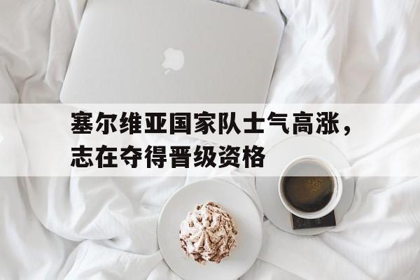 塞尔维亚国家队士气高涨，志在夺得晋级资格的简单介绍