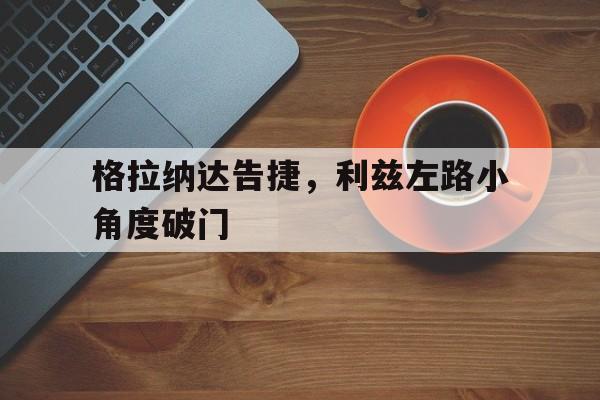 格拉纳达告捷，利兹左路小角度破门的简单介绍